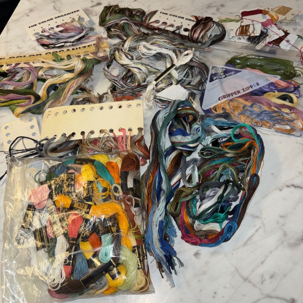 DMC Embroidery Floss Lot Variegated Solid Cotton Thread Color Organizer Mix